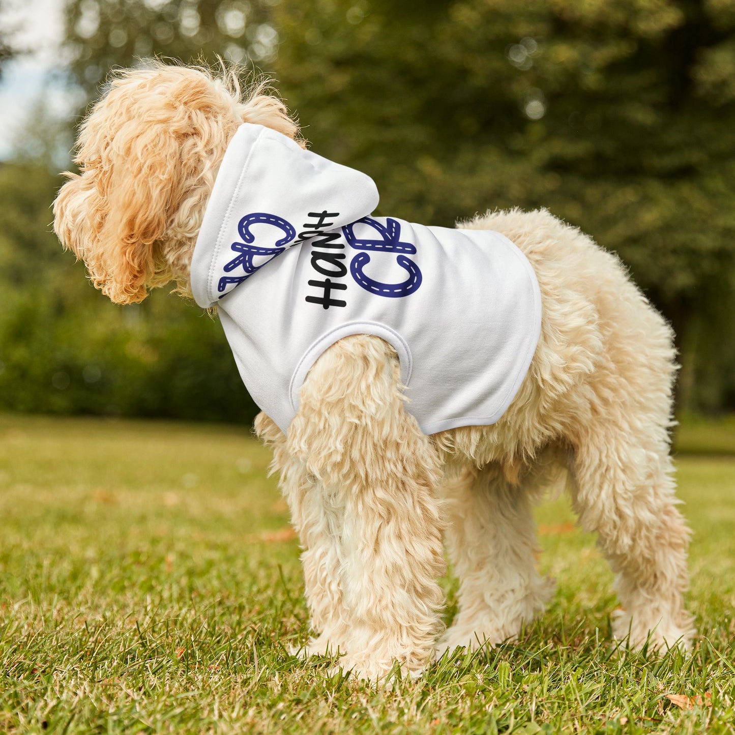 Hanukkah Crew Shirt, Hannukah, Chanukkah,Happy Hanukkah,Pets,Gift for Jews,Hanukkah Present,Dreidel,Hanukkah Family Shirts,Hanukkah Matching