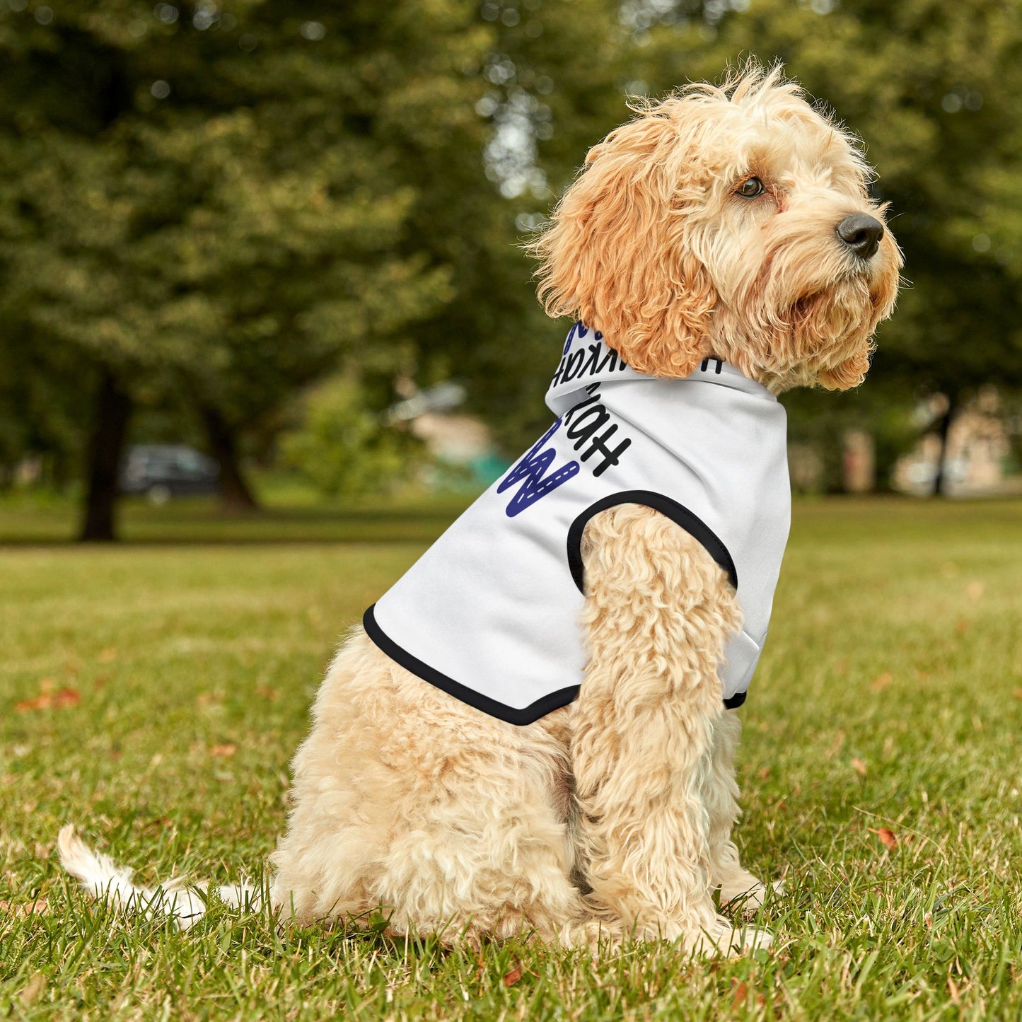 Hanukkah Crew Shirt, Hannukah, Chanukkah,Happy Hanukkah,Pets,Gift for Jews,Hanukkah Present,Dreidel,Hanukkah Family Shirts,Hanukkah Matching