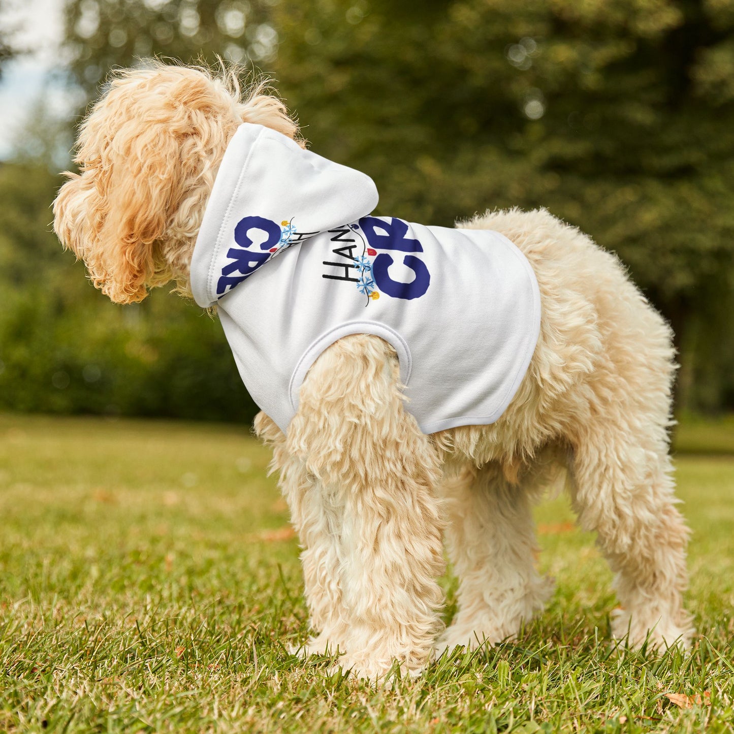 Hanukkah Crew Shirt, Hannukah, Chanukkah,Happy Hanukkah,Pets,Gift for Jews,Hanukkah Present,Dreidel,Hanukkah Family Shirts,Hanukkah Matching