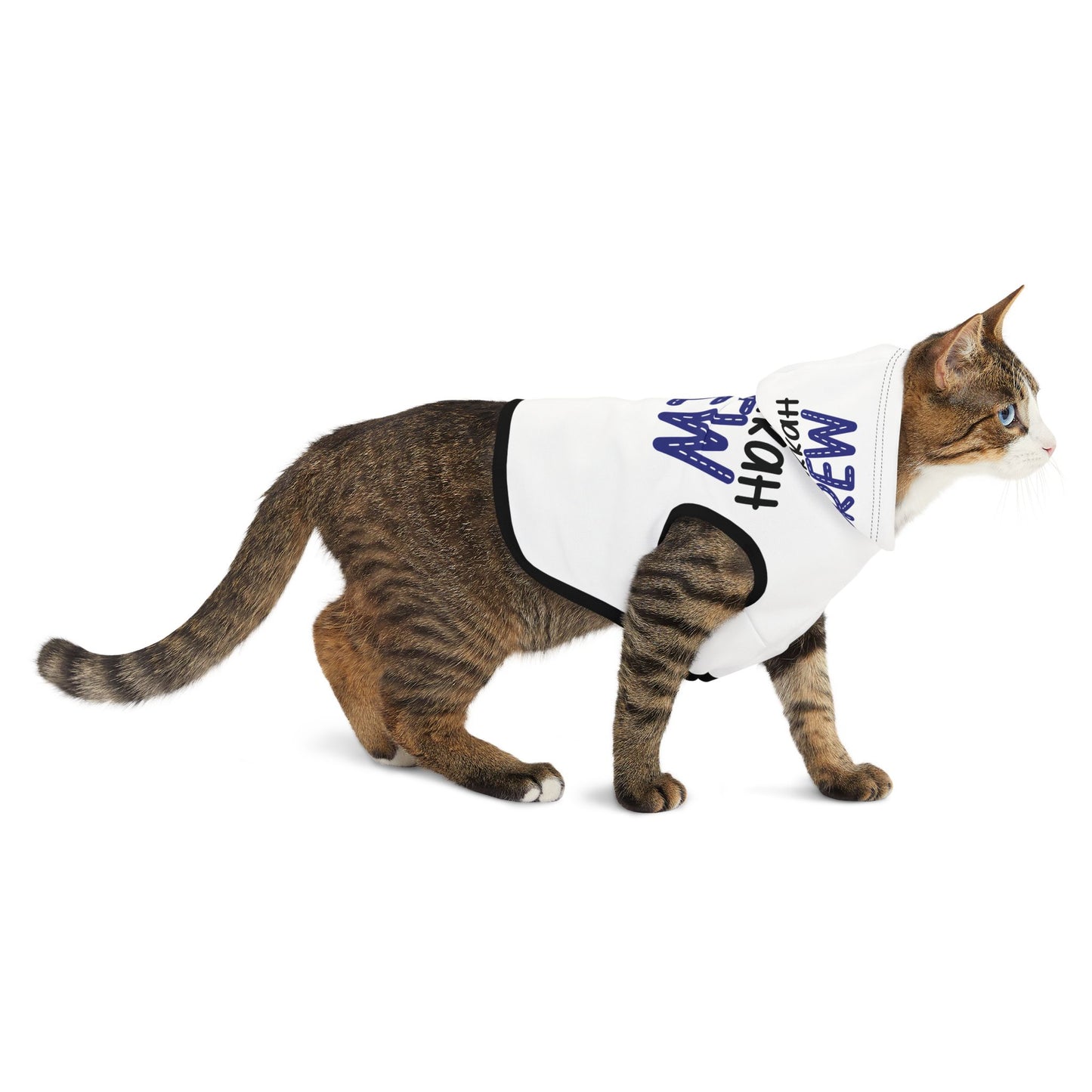 Hanukkah Crew Shirt, Hannukah, Chanukkah,Happy Hanukkah,Pets,Gift for Jews,Hanukkah Present,Dreidel,Hanukkah Family Shirts,Hanukkah Matching